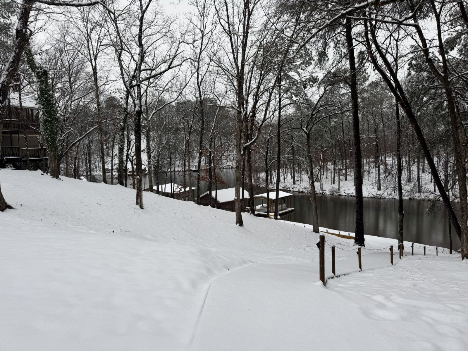 Snow Photo