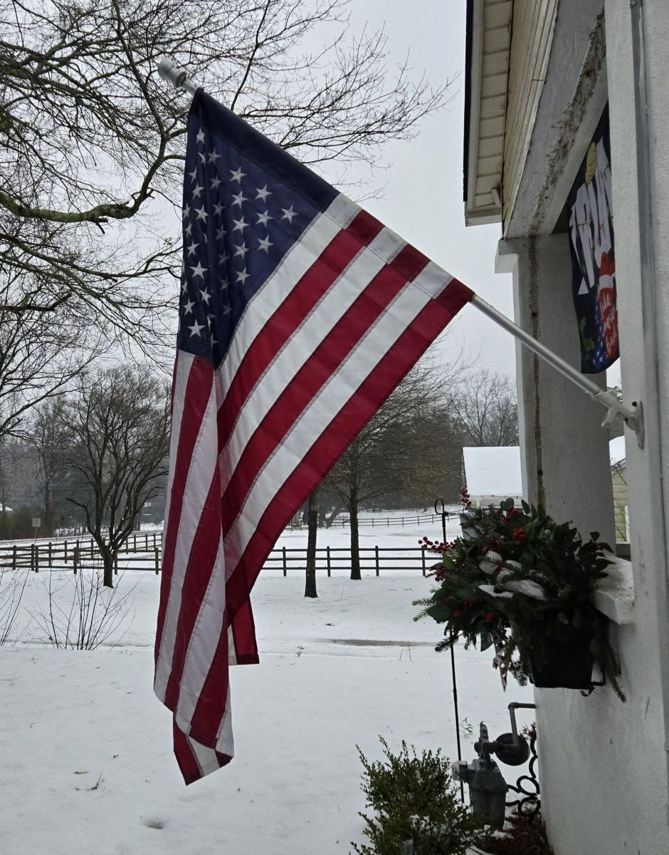 Snow Photo