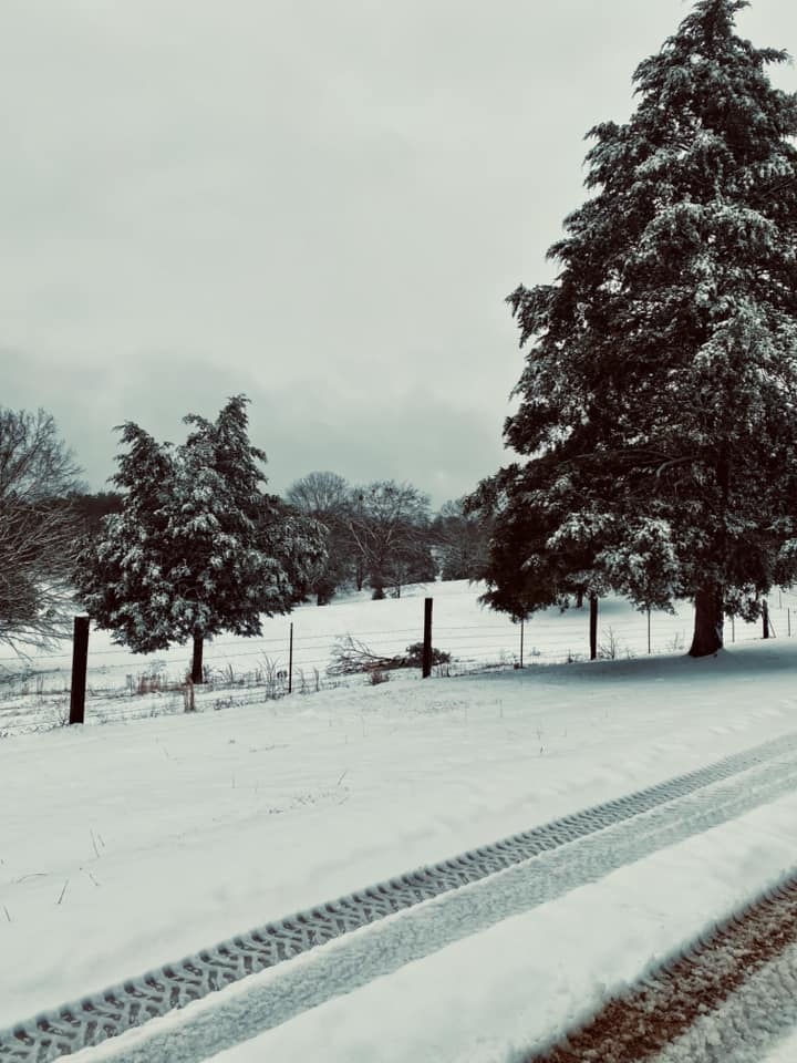 Snow Photo