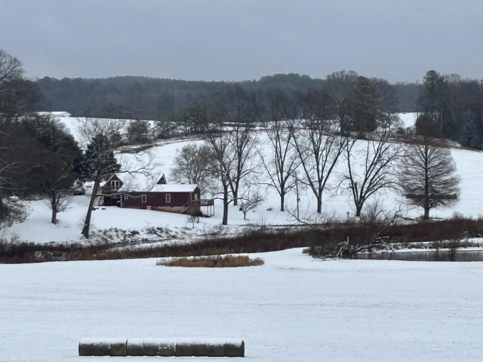 Snow Photo