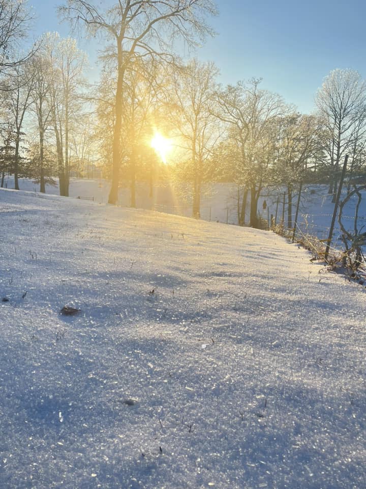 Snow Photo
