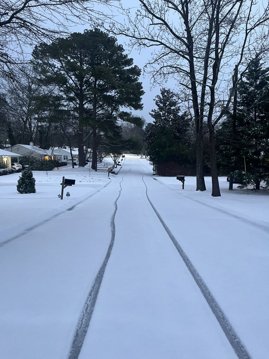 Snow Photo