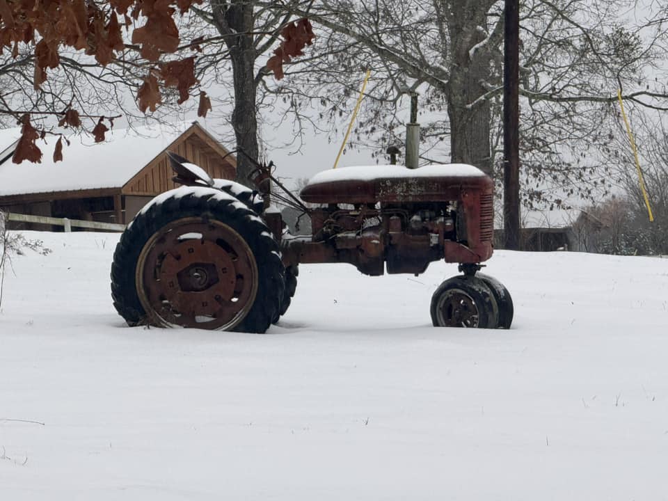 Snow Photo