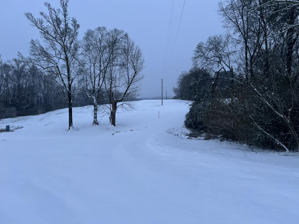 Snow Photo
