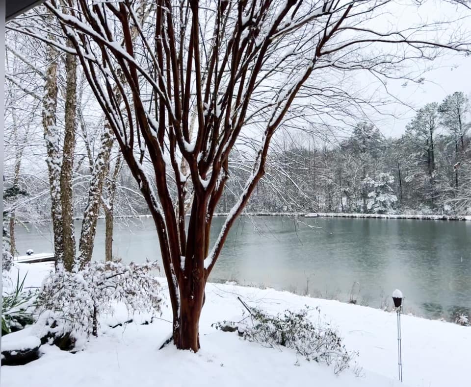 Snow Photo