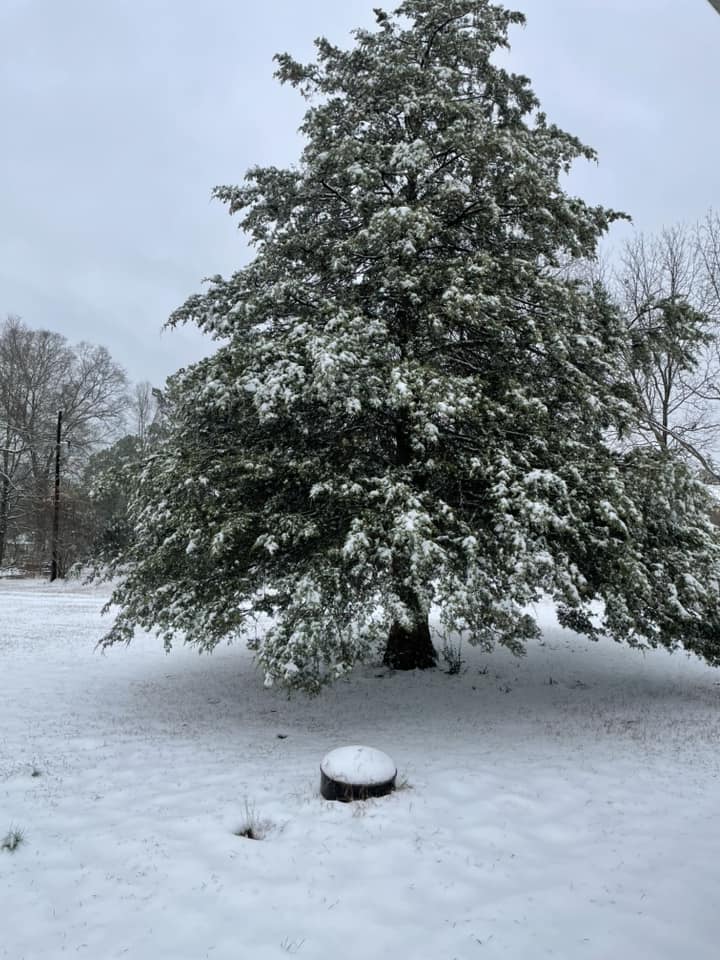 Snow Photo