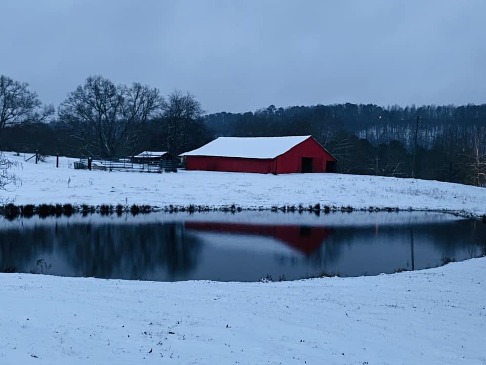 Snow Photo