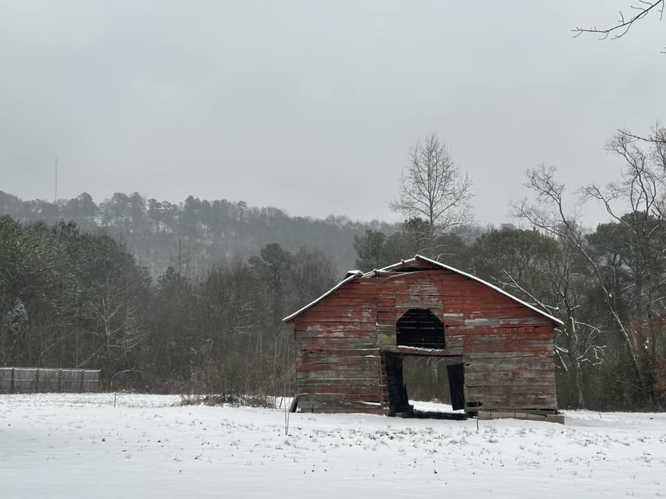 Snow Photo