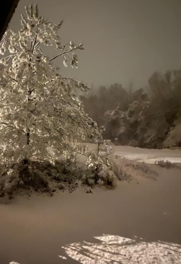 Snow Photo