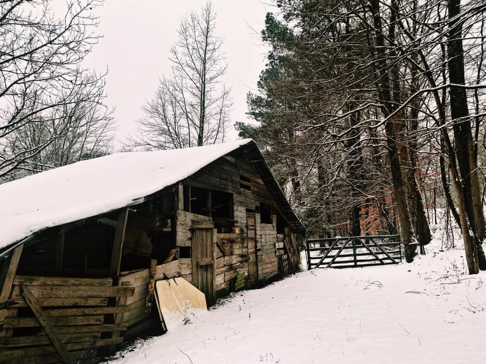 Snow Photo