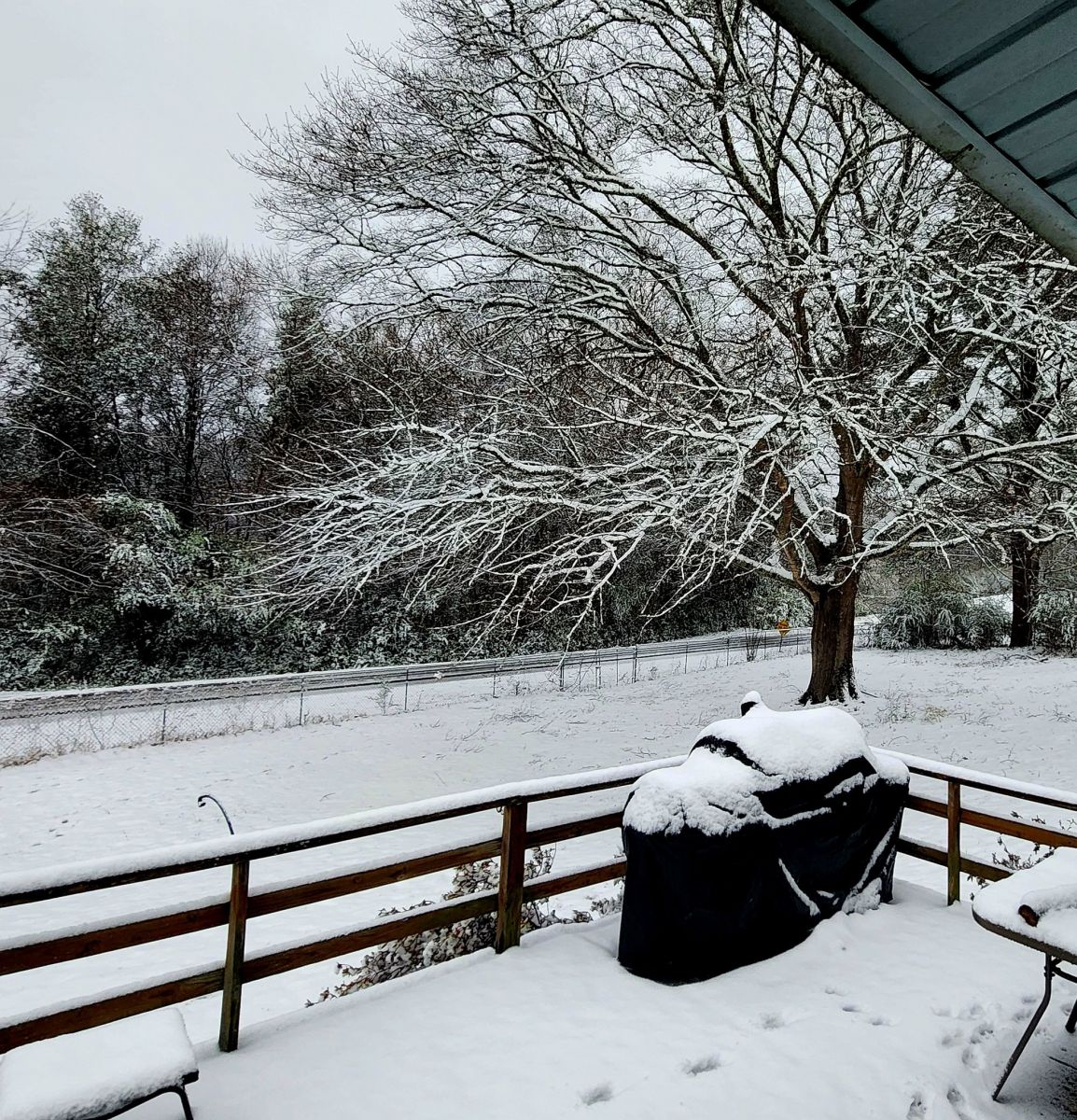 Snow Photo