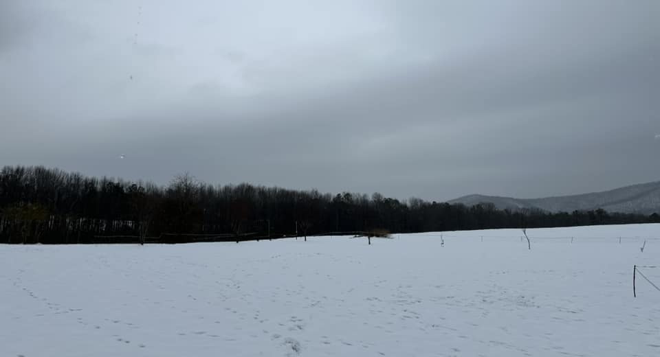 Snow Photo
