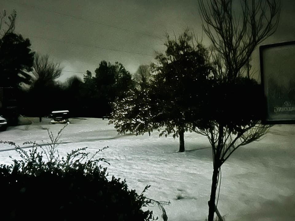 Snow Photo