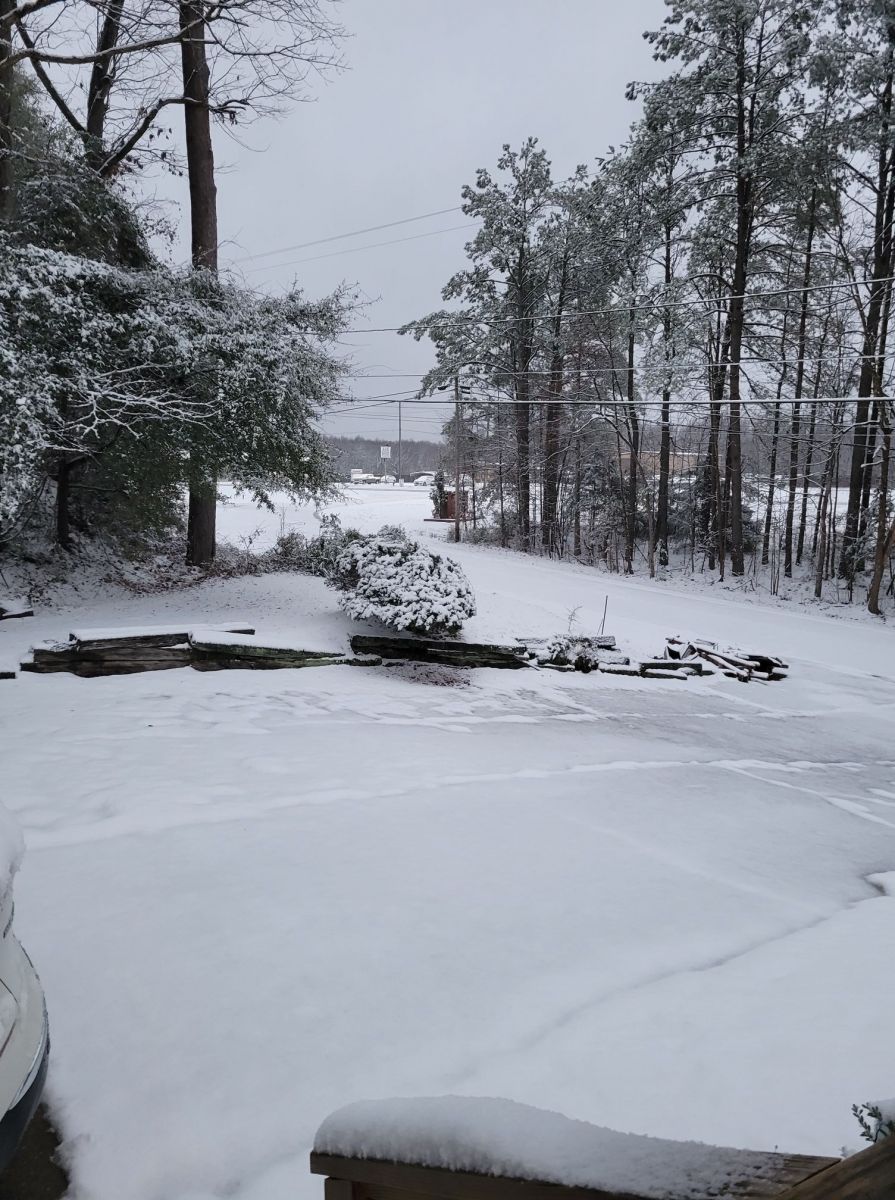 Snow Photo