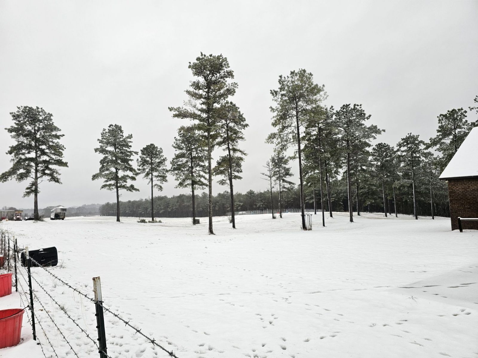Snow Photo