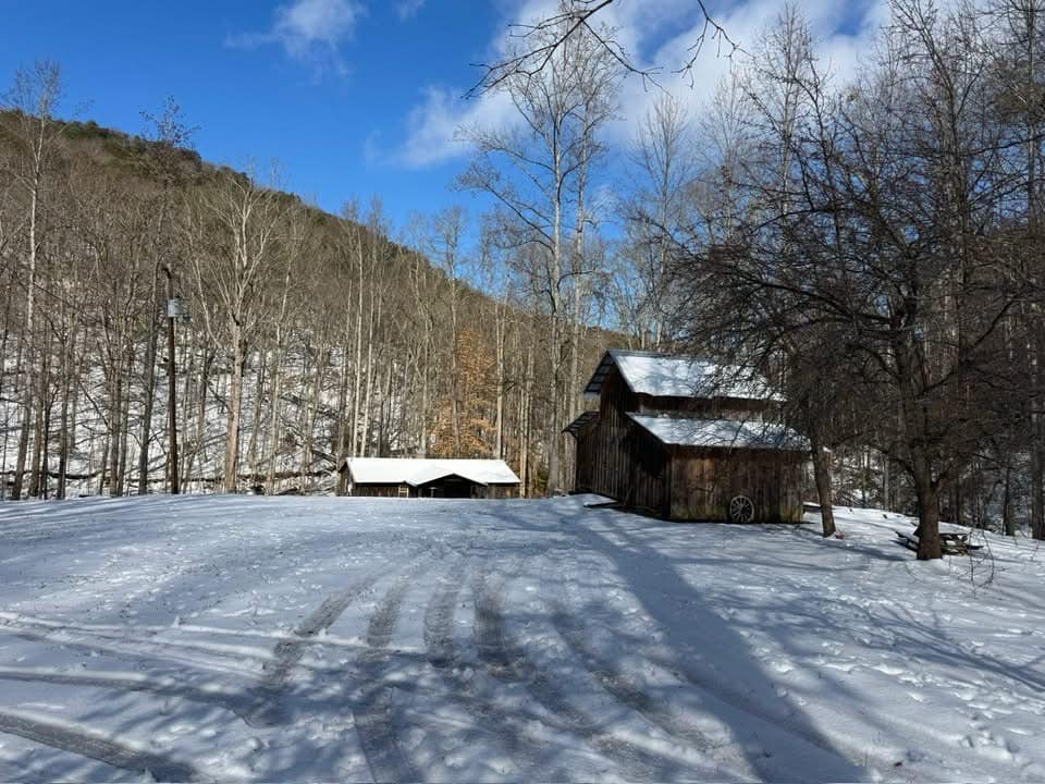 Snow Photo