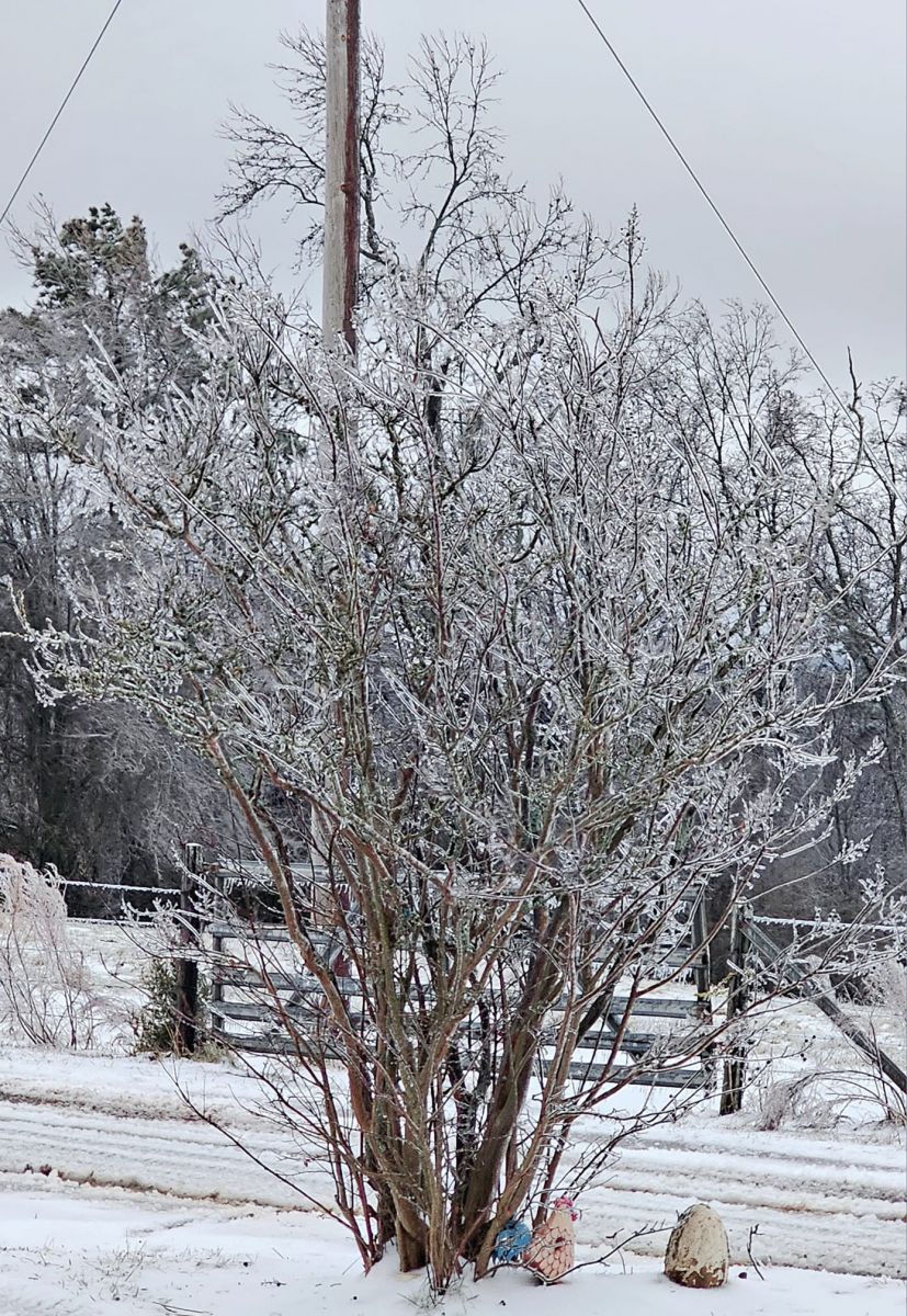 Ice Photo