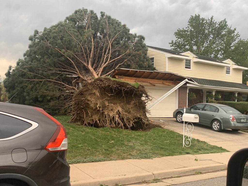 Tree down on house near Sheridan & Lehigh, Denver
