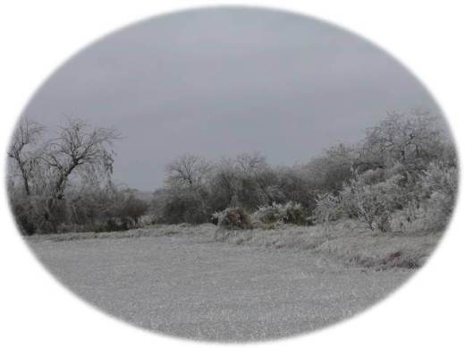 Photo of wintry scene at Brownsville/South Padre Island International Airport, February, 2011