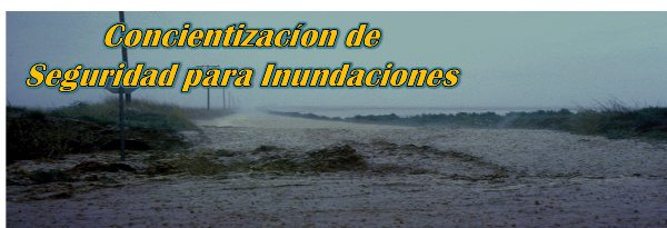 conciencia de la seguridad contra inundaciones semanas bandera