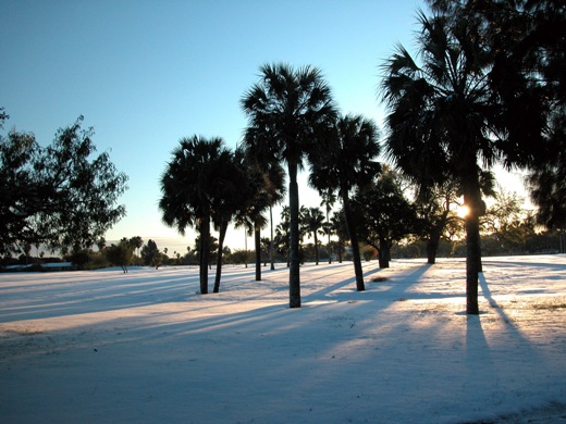 Snow and palm trees at local golf club in Brownsville, December 25, 2004