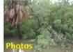 Photo gallery for Brownsville