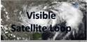 Visible satellite loop prior to and during landfall of Hurricane Dolly, courtesy of Cooperative Institute for Meteorological Satellite Studies (click here)