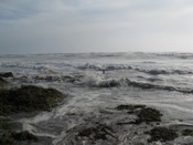 Water level at mile post 4.5 along SPI beach (click to enlarge)