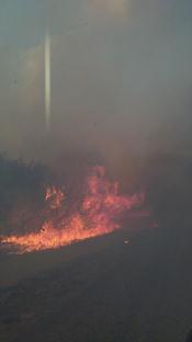 Fire swalling grass and brush in northwest Brooks County during the late afternoon of June 18th, 2011 (click to enlarge)