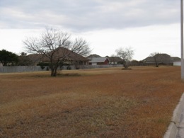 Dormant, highly cured vegetation around Brownsville after a prolonged bout of cold weather, February 9 2011 (click to enlarge)