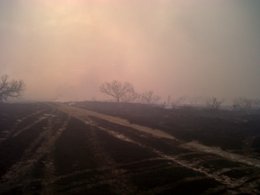 Rapidly spreading wildfire engulfs thousands of acres on the King Ranch near Rudolph, January 2 2011 (click to enlarge)
