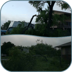 Wind damage in City of Zapata, evening of April 12 2015 (photos taken early morning April 13