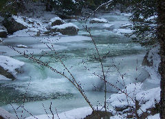 Ridley Brook