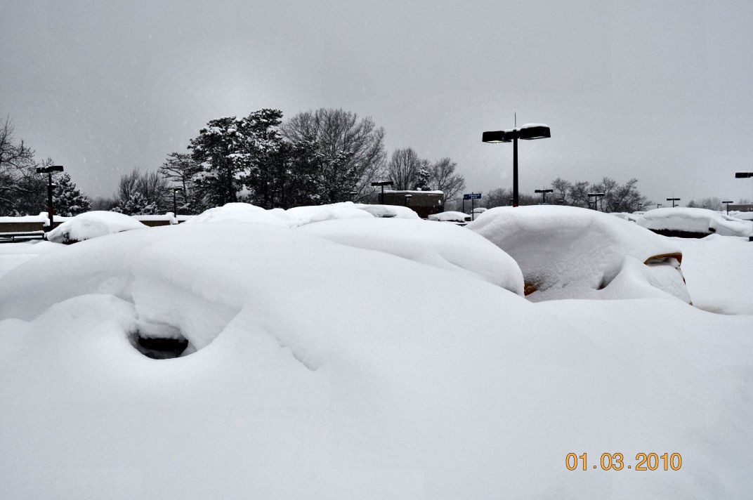 cars buried in snow