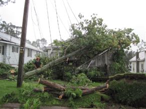 NWS storm survey - Randolph - Damage to area homes from fallen trees. 