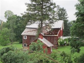 NWS storm survey - Randolph - Barn roof lifted with multiple trees downed or topped in the area. 