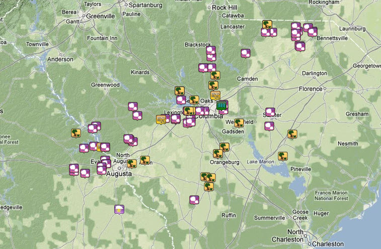 storm reports