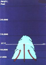 A developing thunderstorm with vertical growth