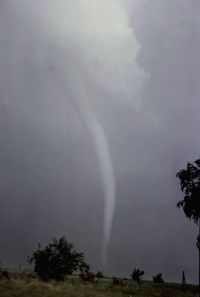 Tornado with dark thunderstorms in background
