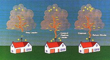 Lightning step leader, positive leader, and return stroke