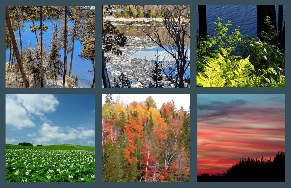 Maine's six seasons
