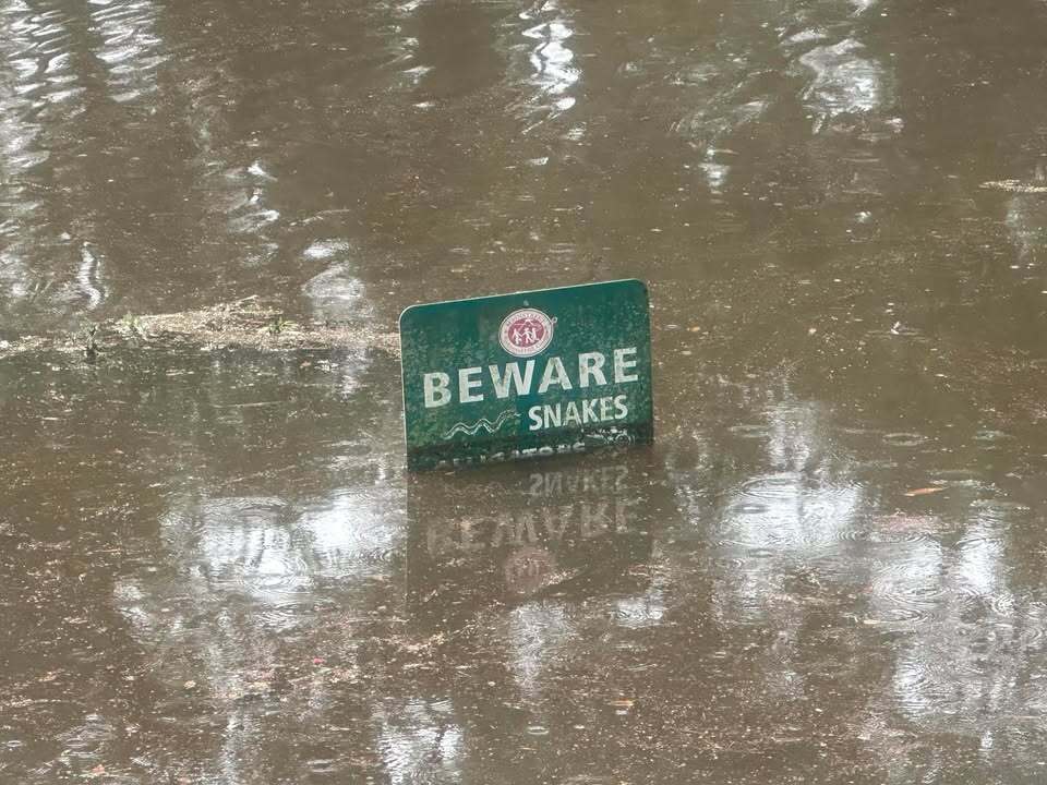 Image of sign being covered due to flooding in Richmond Hill, Georgia.