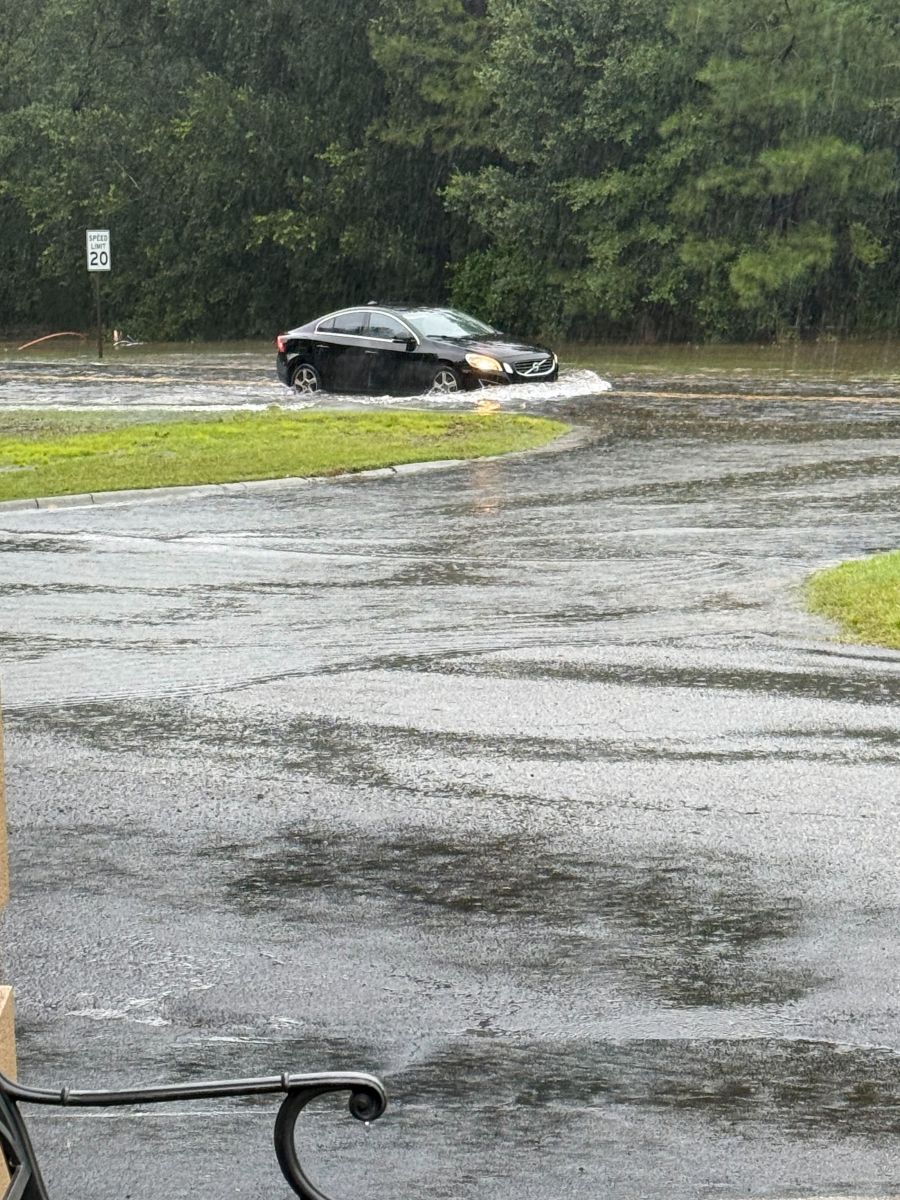 Image of flooded street at Buckingham Plantation in Georgia.