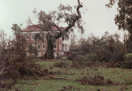 Damage at Drayton Hall Plantation