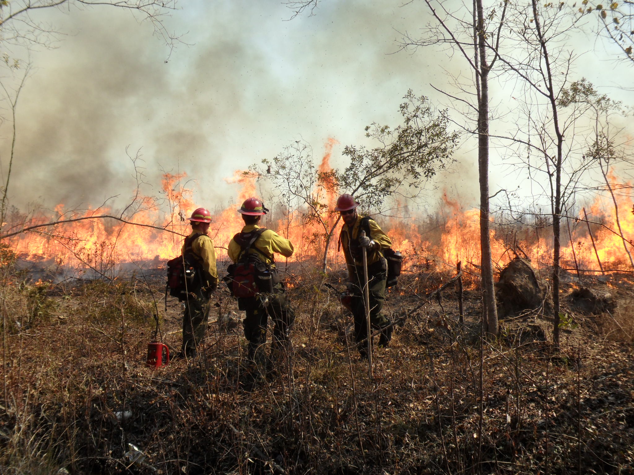 Firefighters working at a fire site