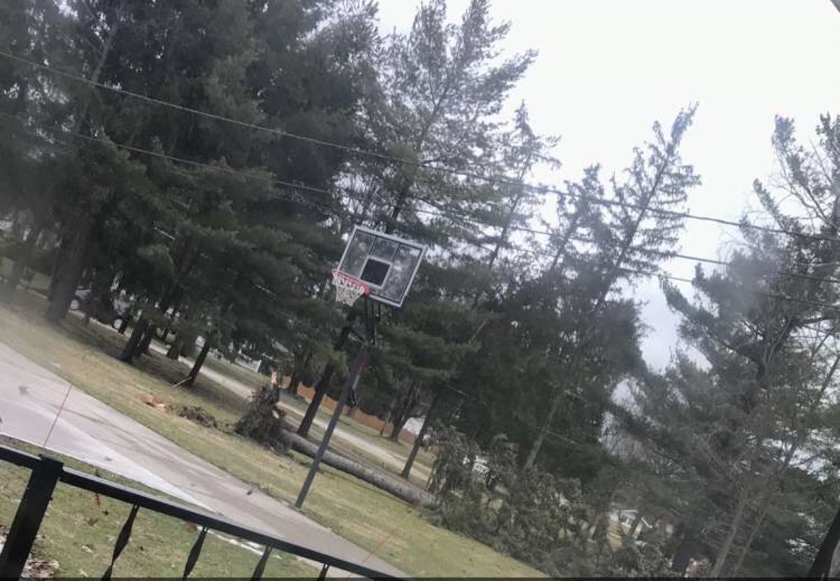 tree blown over in Broadview Heights