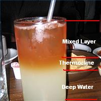 mixed drink as a thermocline example