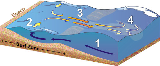 Anatomy of the Rip Current