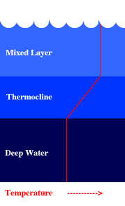 thermocline ocean temperature zones water three surface courtesy below diagram cle marine weather gov