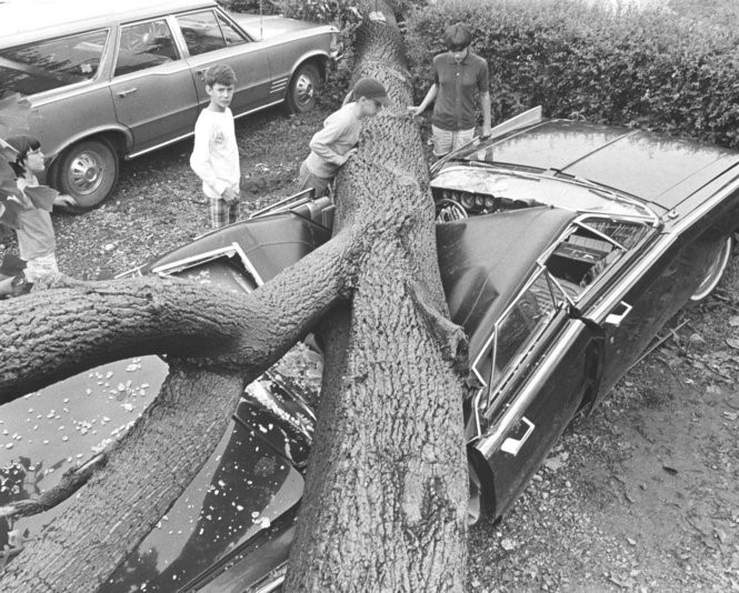 Images showing some of the wind damages across portions of Ohio brought on by the July 4th, 1969 derecho event. (Source: Storm Prediction Center).